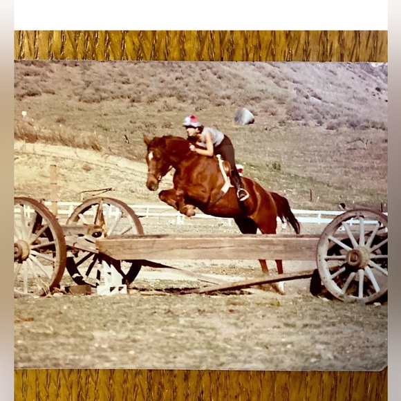 🌻 Posh Ambassador 🌻 - Picture 2 of 13